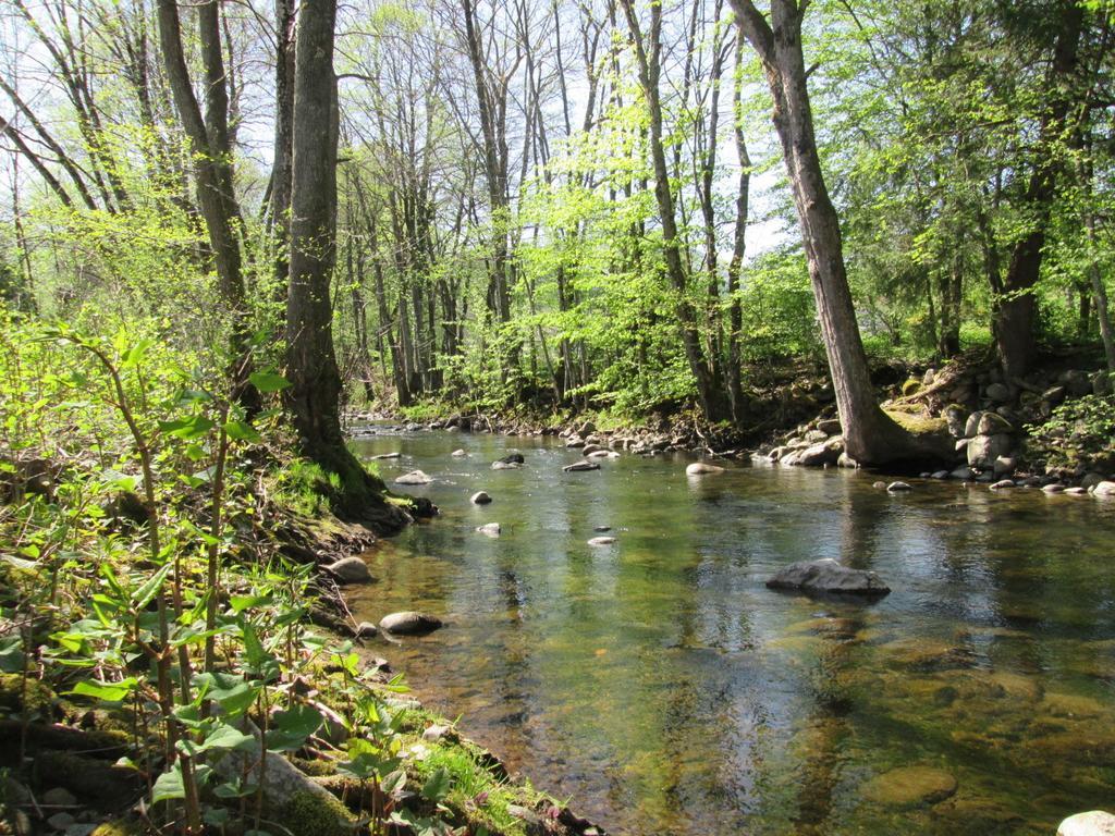 Camping De Masevaux Luaran gambar