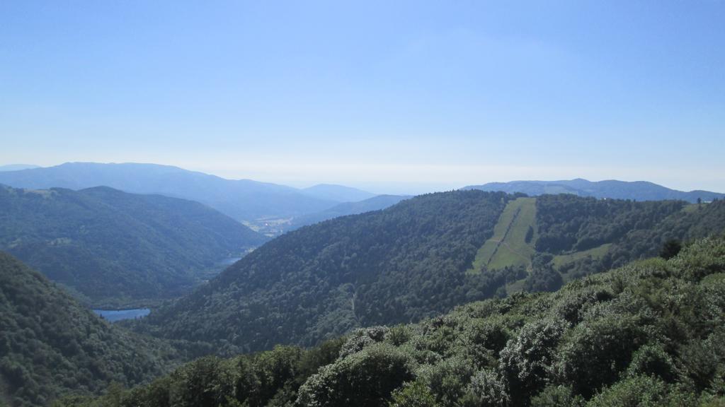Camping De Masevaux Luaran gambar